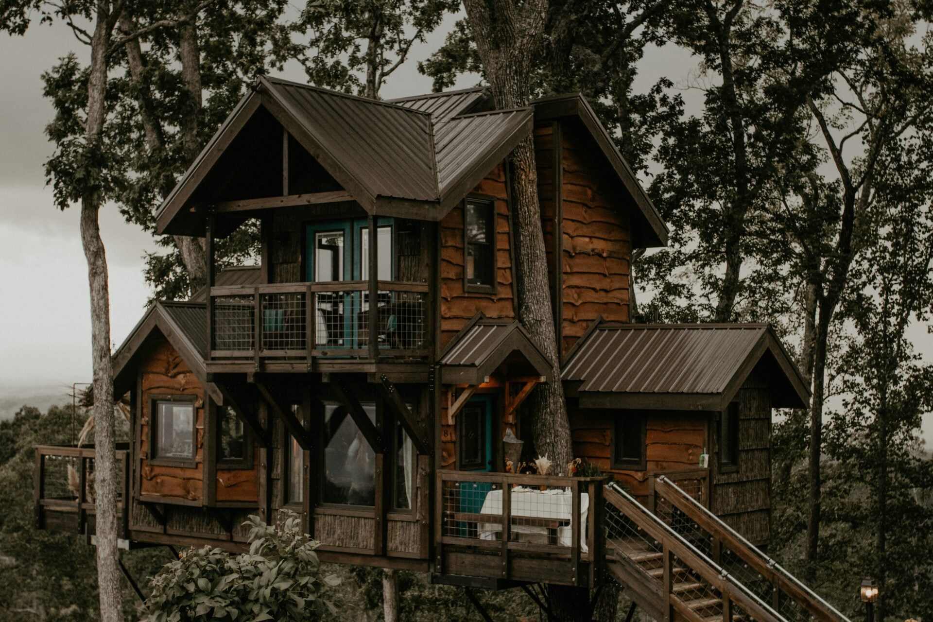Airbnb treehouses