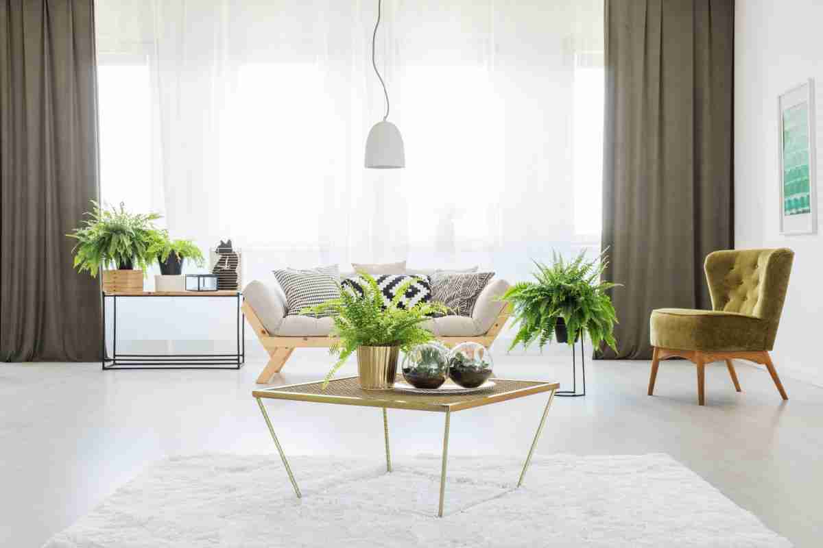 Airbnb plants