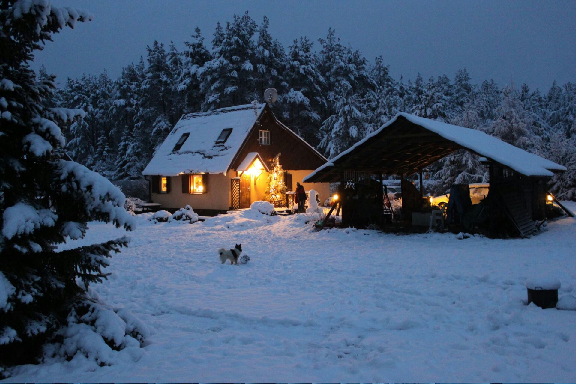 winter cabins on Airbnb